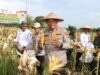 Kapolresta Tangerang Kembali Panen Jagung Hibrida Kwartal III, Dukung Swasembada Pangan